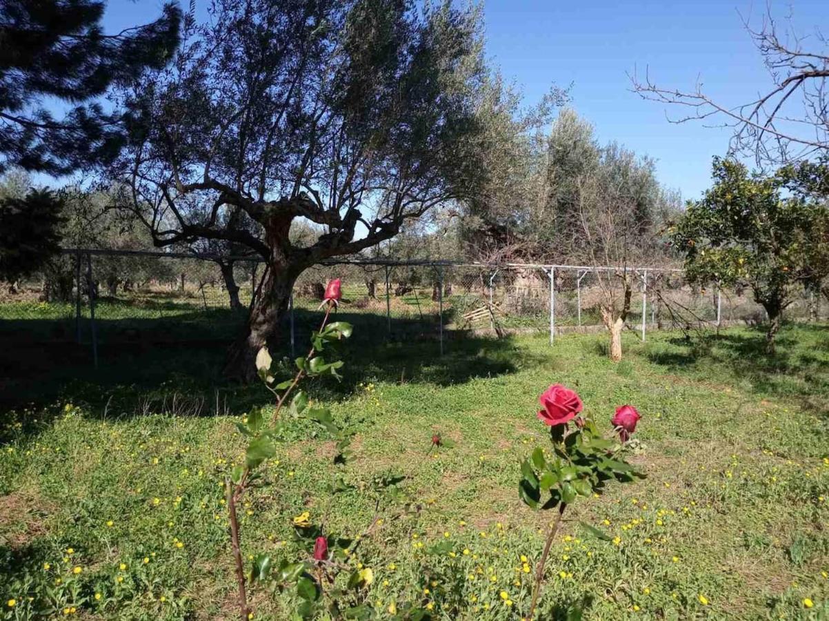 Manousi 2 - First Floor Villa Mystras Exterior photo